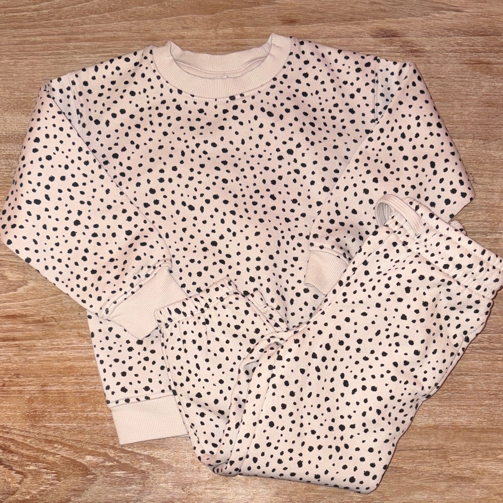 Cubus Animal Print Sweatshirt (4T) & Pants (2T)